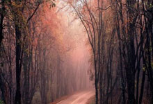 索斯盖特演讲：太多年轻男性孤立自我 沉溺游戏&色情等有害替代品.