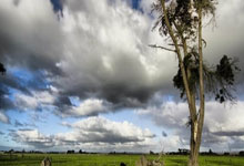 东升国际：湖人三巨头合砍85分战胜灰熊 詹姆斯生涯42000分.