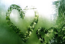 东升国际：典型在身边丨残奥冠军邹连康：用拼搏书写生命华章.